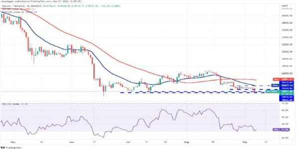 2022价格分析：BTC、ETH、BNB、XRP、ADA、SOL、DOGE、DOT、MATIC、SHIB-第2张图片-欧意下载