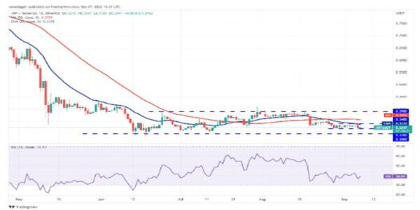 2022价格分析：BTC、ETH、BNB、XRP、ADA、SOL、DOGE、DOT、MATIC、SHIB-第5张图片-欧意下载