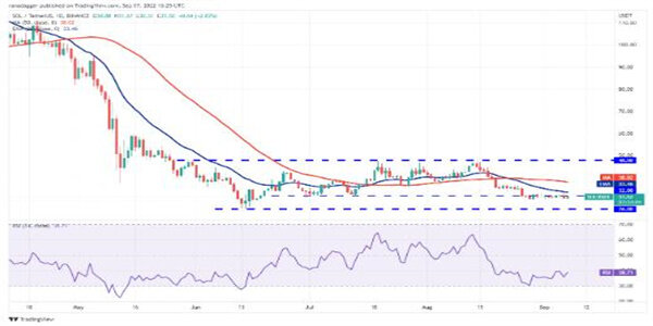 2022价格分析：BTC、ETH、BNB、XRP、ADA、SOL、DOGE、DOT、MATIC、SHIB-第7张图片-欧意下载
