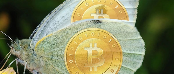 泰达币是什么时候发行的-第1张图片-欧意下载