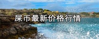屎币最新价格行情是多少