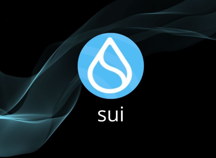 8-230505095635557.png