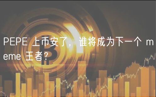 PP 上币安了，谁将成为下一个 mm 王者？