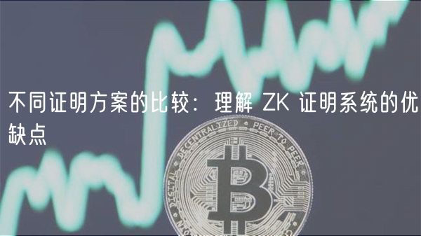 不同证明方案的比较：理解 ZK 证明系统的优缺点