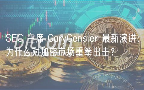 SC 主席 GaryGnslr 最新演讲：为什么对加密市场重拳出击？