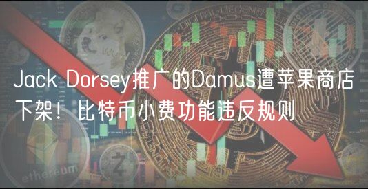 Jack Dorsy推广的Damus遭苹果商店下架！比特币小费功能违反规则