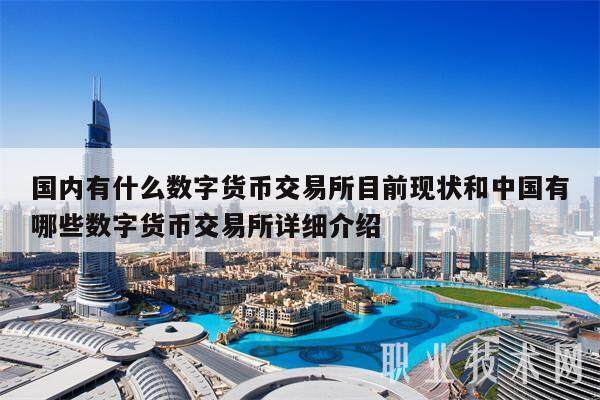 国内有什么数字货币交易所目前现状和中国有哪些数字货币交易所详细介绍-第1张图片-欧意下载