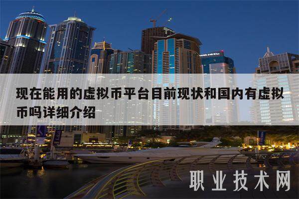 现在能用的虚拟币平台目前现状和国内有虚拟币吗详细介绍-第1张图片-欧意下载