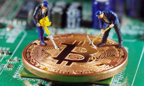SHIBKING币的最新价格是多少?SHIBKING币史上最高价是多少?
