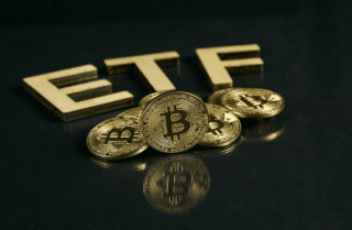 Hashdb推出现货比特币BTF的新商业广告