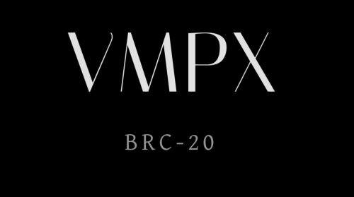 VMPX(Ordinals)币是什么?-第1张图片-欧意下载