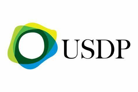 Pax Dollar(USDP)币种介绍-第1张图片-欧意下载