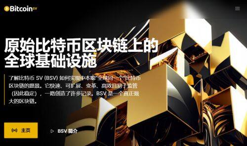 BSV币是什么币种-第1张图片-欧意下载