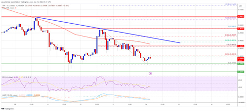XRP_Price_092dfd.jpg