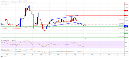 XRP_Price_ff3efb.jpg