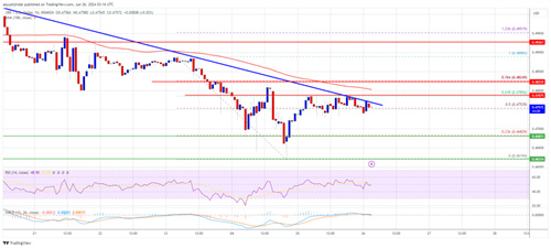 XRP_Price_a4c015.jpg
