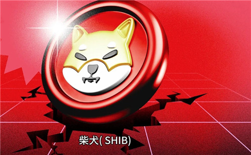 Shiba Inu币价或暴涨480%至0.000081美元？分析师信心何来