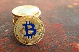 CRIPCO（IP3）是什么？如何参加IP3的IBO？