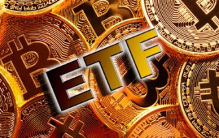 比特币BTF FOMO 稳定下来这些数据很重要